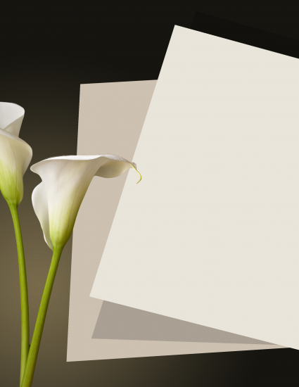 Nice Graphic Letter preview Nice Graphic Letter preview