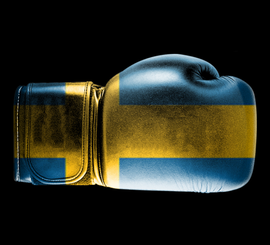 Bboxing Gloves - flag preview Bboxing Gloves - flag preview